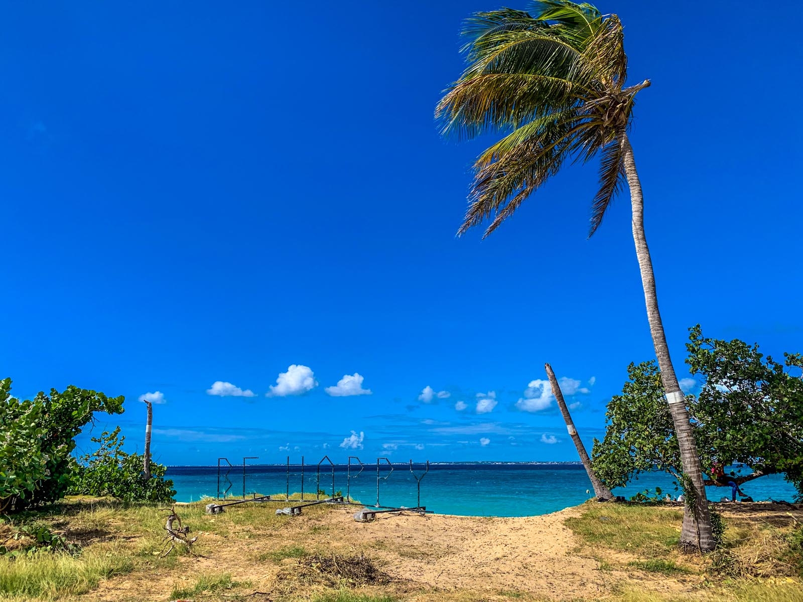 Erections At Nude Beaches Telegraph